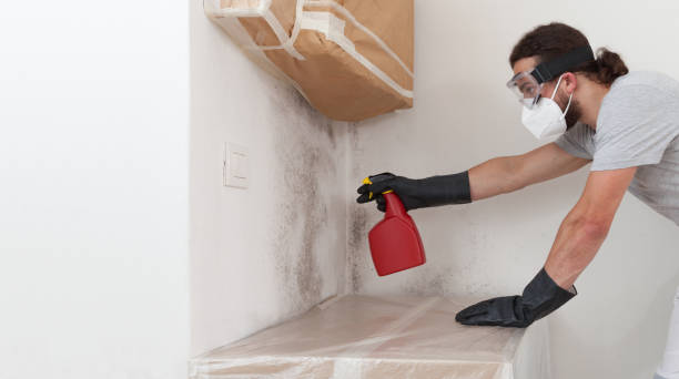 Professional Black Mold Remediation technician working in Flanders, NJ